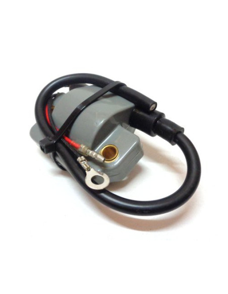 bobine pour yamaha 55 / 80 / 90cv
