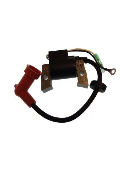 bobine pour yamaha F4 de 98 et +