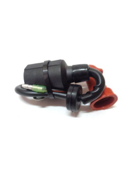bobine pour yamaha 9.9 / 13.5 / 15cv 2T