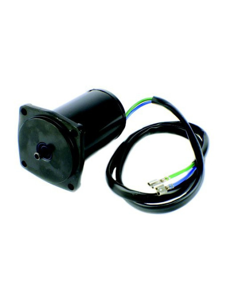 moteur de trim 50/250 CV