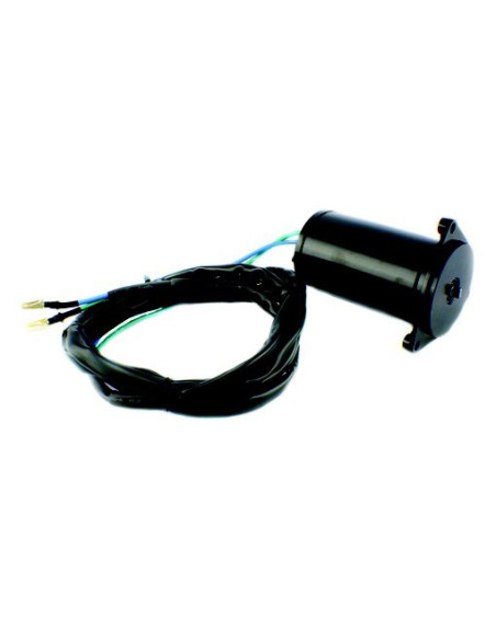 moteur de trim 50/250 CV