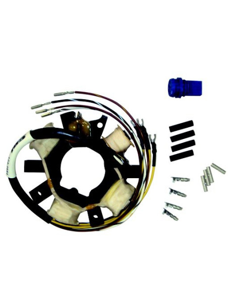 stator pour johnson evinrude  9.9/60CV 2 cyl 2t