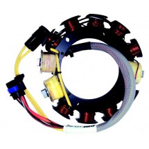 stator pour johnson evinrude 150/175CV 6 cylindres
