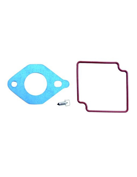 kit carburateur pour johnson evinrude 4/8CV 4T de 2007