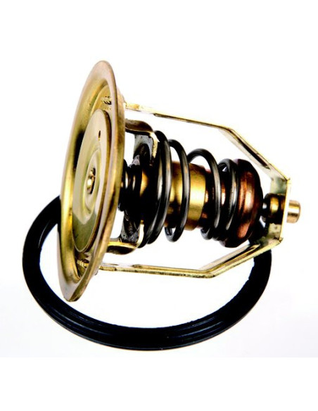 thermostat 55° pour volvo 165/170 essence