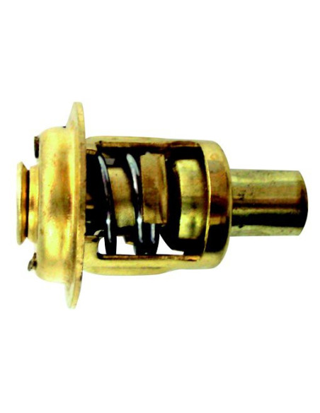 thermostat pour yamaha 9.9 / 55CV