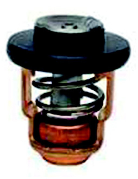 thermostat pour yamaha F2.5
