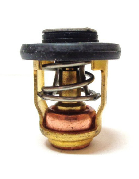 thermostat pour yamaha 60/70CV