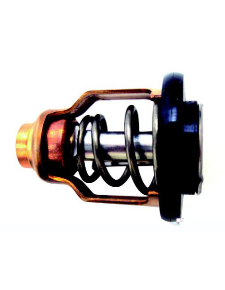 thermostat pour yamaha  F75 / F250