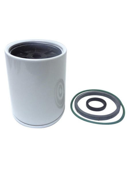 cartouche de rechange 10µ pour yamaha + 100cv
