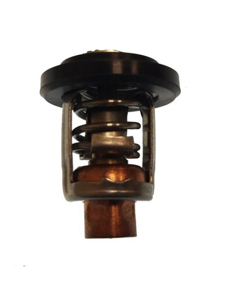 thermostat 60° pour honda de BF8 à BF200