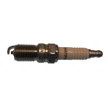 CHA-RS12PYP