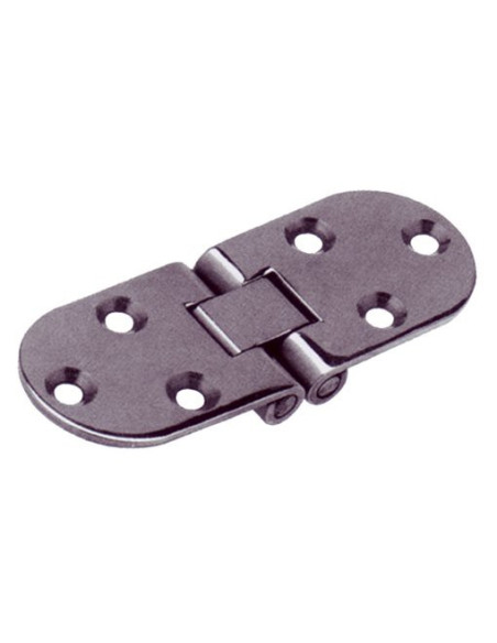 charnière inox 80 x 30 x 2 mm