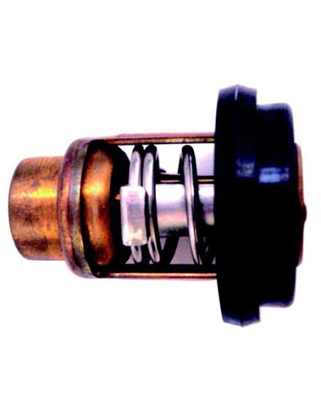 thermostat pour mercury mariner 8/9.9cv 4 temps