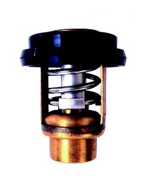 thermostat pour mercury mariner 15/20/25cv 4 temps