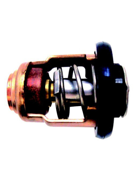 thermostat pour mercury mariner 25 à 40cv 4 temps