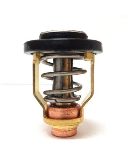 thermostat 50° pour yamaha 9.9 à VX250