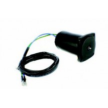 moteur de trim 2 fils - 4 vis pour 40 ET 50cv suzuki / johnson evinrude / honda