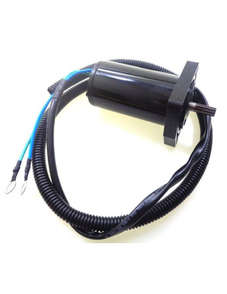 moteur de trim pour yamaha F30 / F40