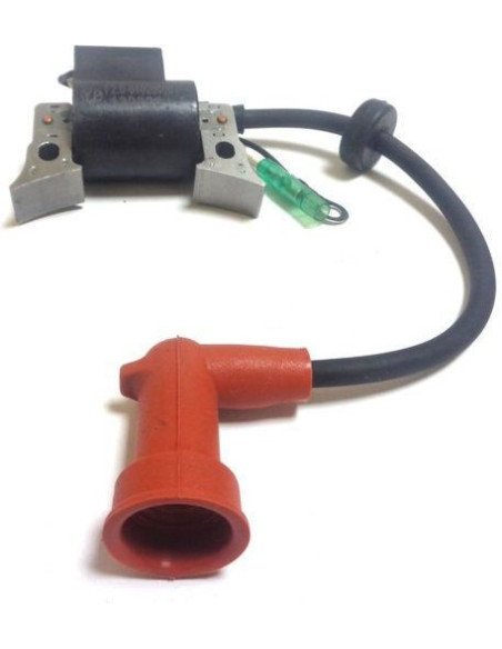 bobine pour yamaha F2.5 de 2003 et +