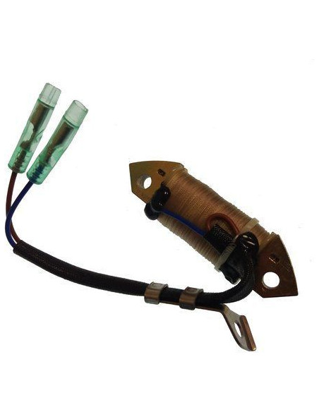 bobine pour yamaha F9.9 / F13.5 / F15