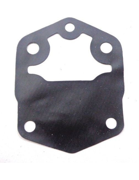 membrane pompe à essence pour yamaha 115 à 250cv