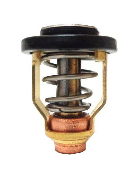 thermostat 9.9 / 55CV