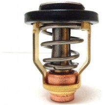 thermostat 9.9 / 55CV