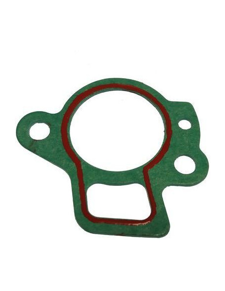 thermostat 9.9 / 55CV