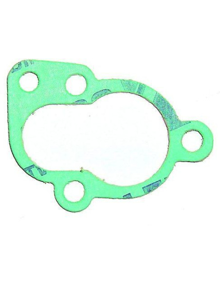 thermostat 9.9 / 55CV