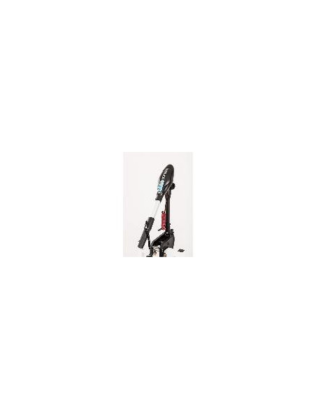moteur électrique hors bord ProtruarG  3.0 - 110lbs