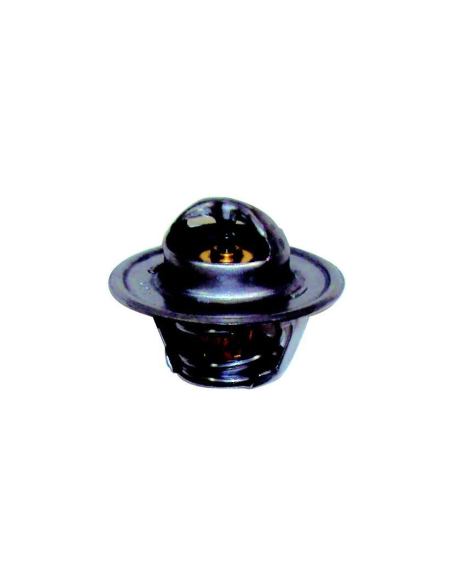 thermostat pour mercruiser gm V6 et V8 181 - 160°