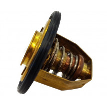 thermostat 60° pour volvo essence et diesel