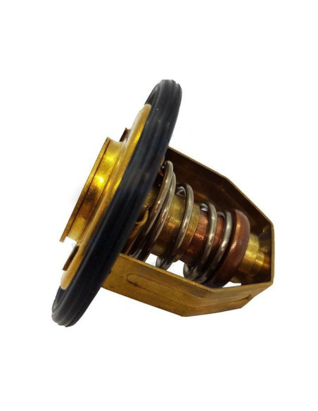 thermostat 60° pour volvo essence et diesel