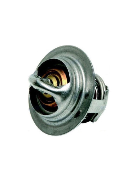 copy of thermostat 5.0 / 8.1 essence