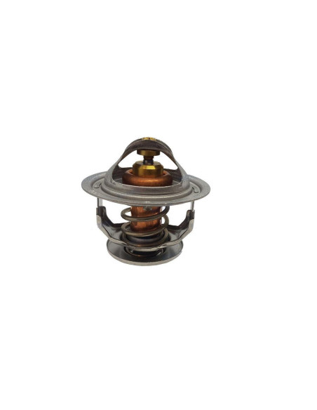 thermostat 76.5° pour yanmar 6LY