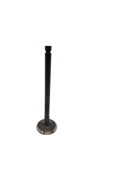 soupape d'échappement pour yanmar 6GH