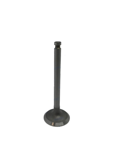 soupape d'admission pour yanmar 1GM/2GM/3GM