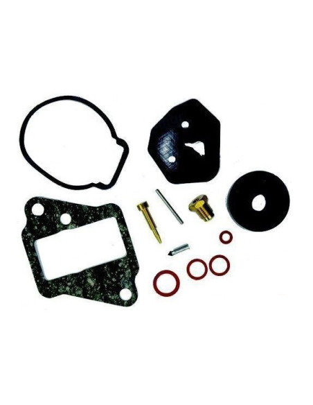copy of kit carburateur 9.9 / 15cv