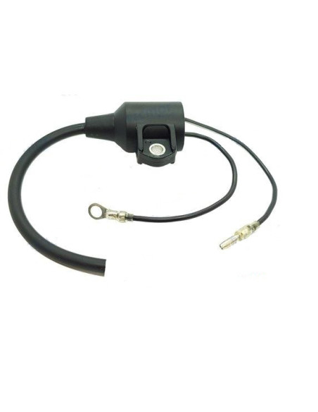 bobine d'allumage pour yamaha de 50 à 90cv 2 temps