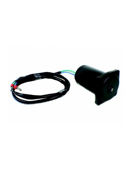 moteur de trim 2 fils 4 vis pour johnson evinrude de 4 à 90cv de 2004 et +