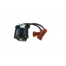 bobine d'allumage pour yamaha 9.9/15cv 2t