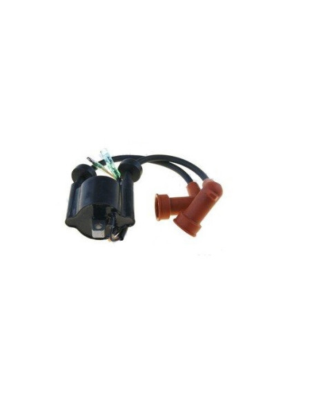 bobine d'allumage pour yamaha 9.9/15cv 2t