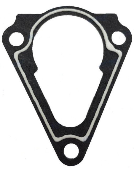 JOINT DE THERMOSTAT