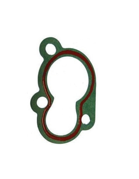 joint de thermostat  pour yamaha F9.9-F20 nouveaux modèles