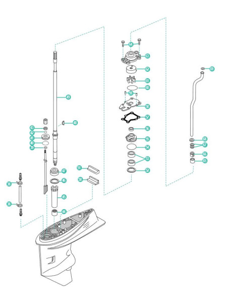 éclaté du haut de l'embase yamaha F30A/E/M - F40B/E/T