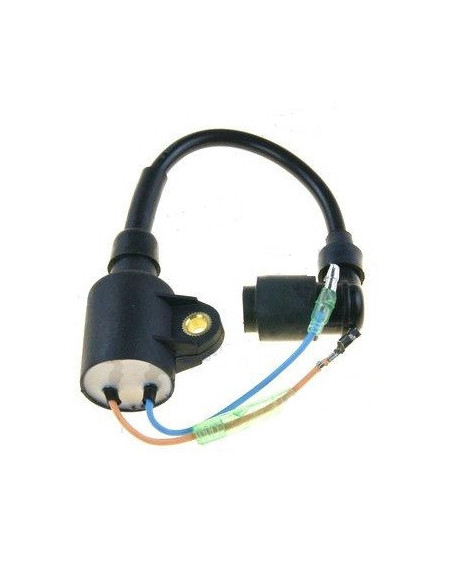 bobine d'allumage pour yamaha 2B/C/M de 95 à 2010