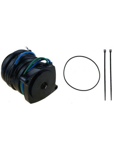 moteur de trim pour yamaha F300A/F350A