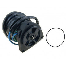 moteur de trim pour yamaha F150/F175/F200