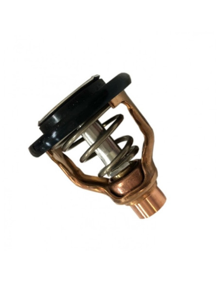 thermostat 60° pour yamaha 175/200cv
